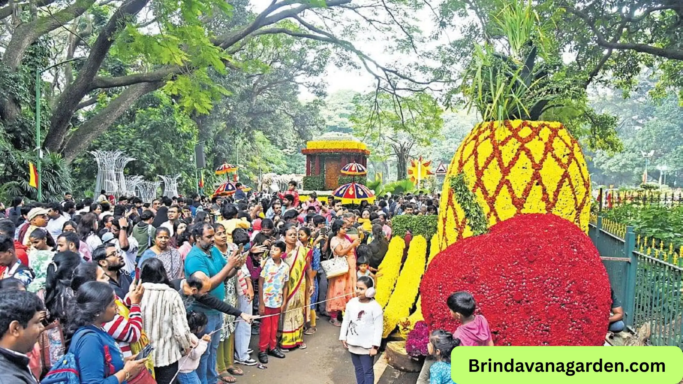 Cubbon Park Flower Show 2026 Timings