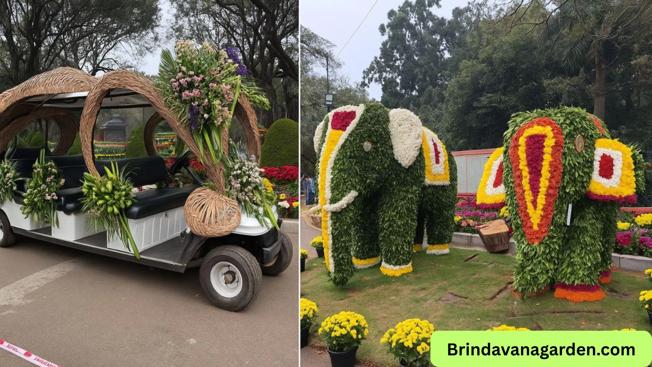 Cubbon Park Flower Show Ticket Price