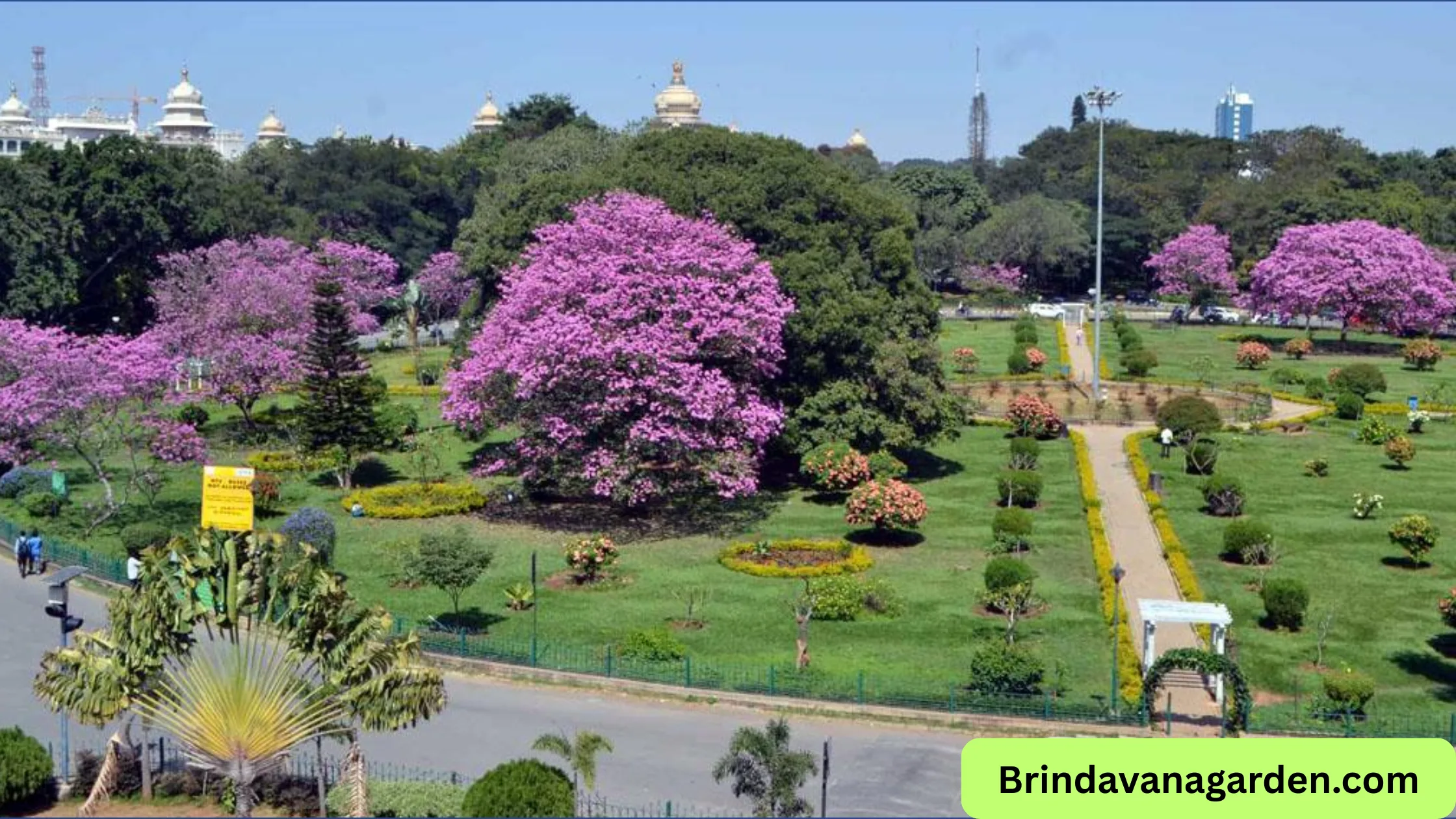 Cubbon Park Bangalore Entry Fee