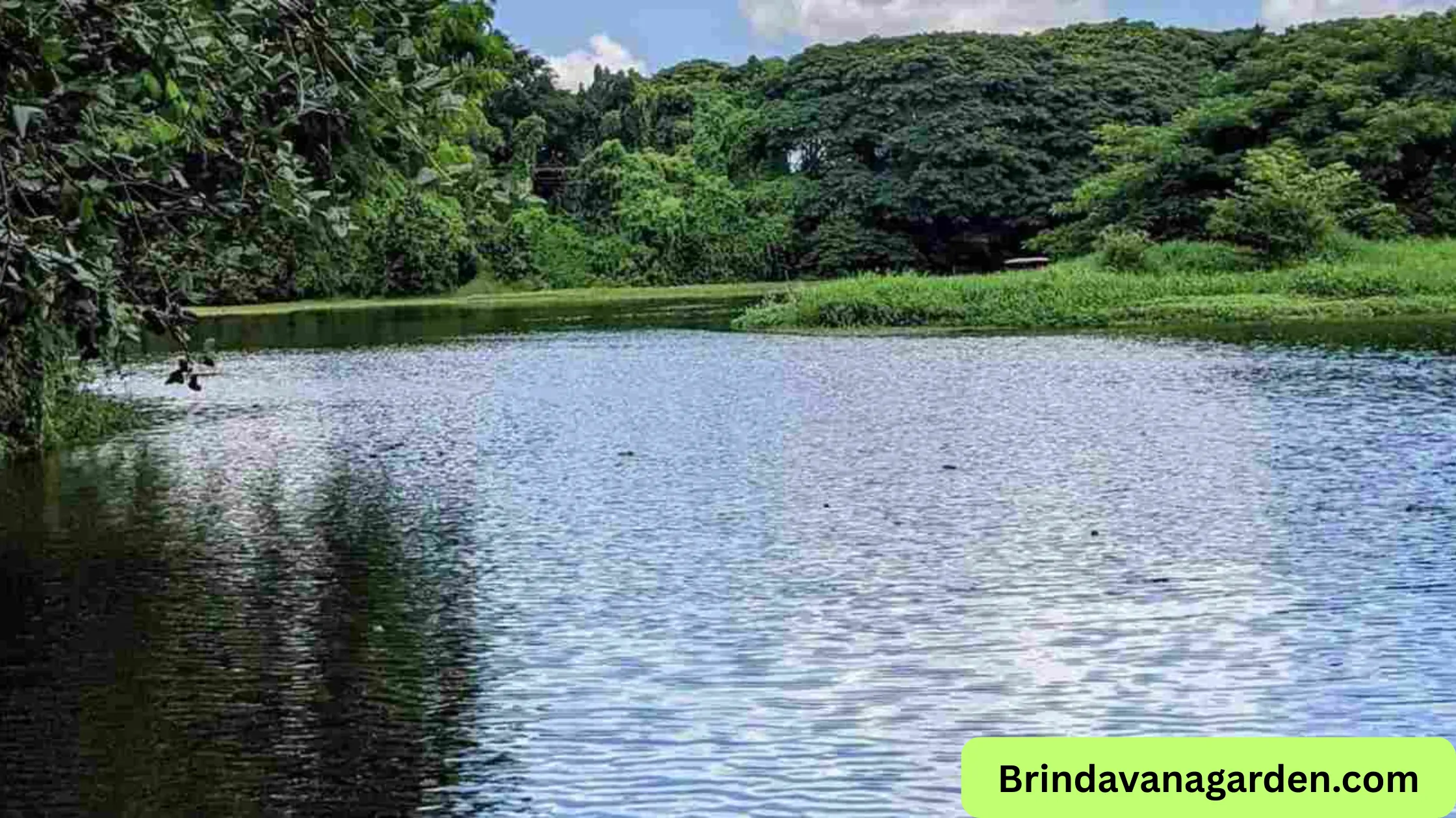 Karanji Lake Mysore Timings