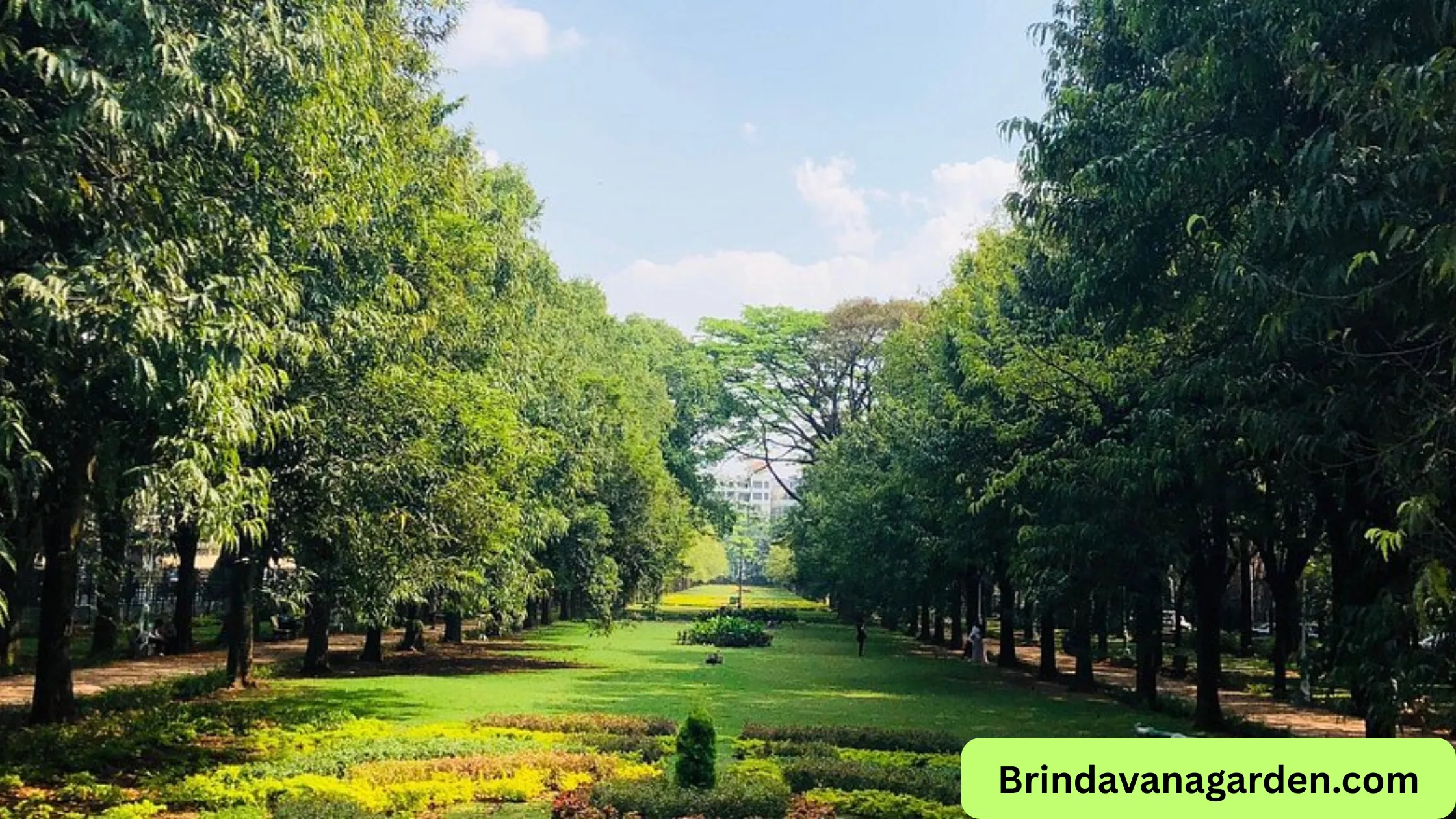 Where Is Cubbon Park Located