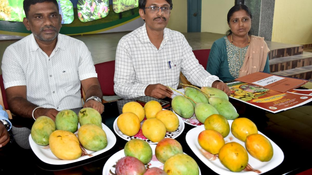 Mango Mela Mysore